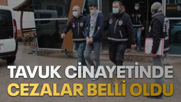 Tavuk cinayetinde cezalar belli oldu